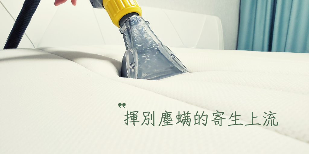 冷氣清洗洗衣機清洗除塵螨床墊清洗沙發清洗
